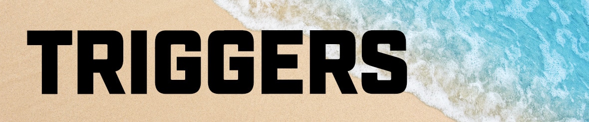 End Of Summer Sale Triggers Category Banner
