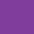 CK31 Bright Purple